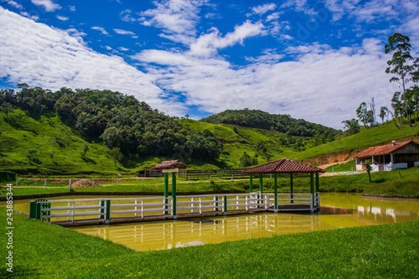 Obraz bridge over the river