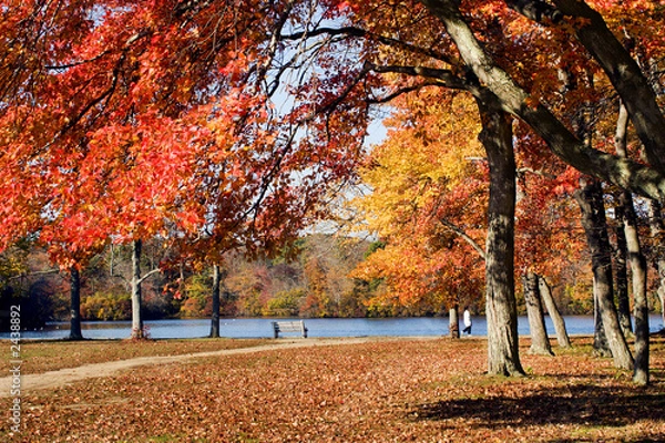 Obraz walk in the park