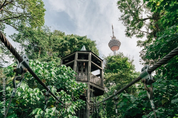 Fototapeta Kuala Lumpur city view from Bukit Nanas Forest Reserve and now called KL Forest Eco-Park. Suspension bridge, walkway to the adventurous, cross to the other side.