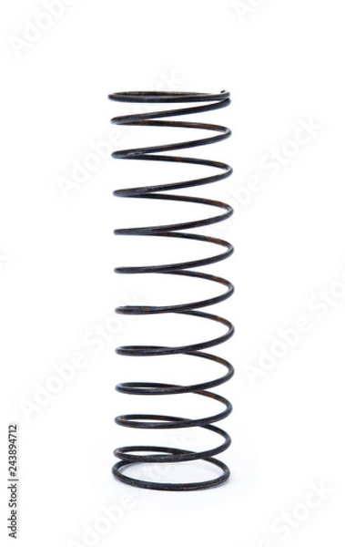Obraz Old steel spring isolated on white background