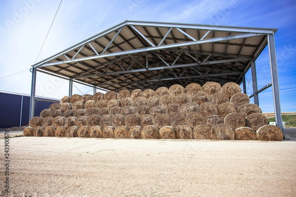 Obraz sloping hay under a canopy.