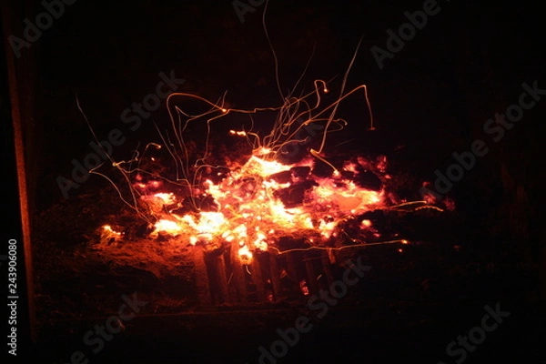 Obraz Blazing orange yellow log amber on fire with flying sparks