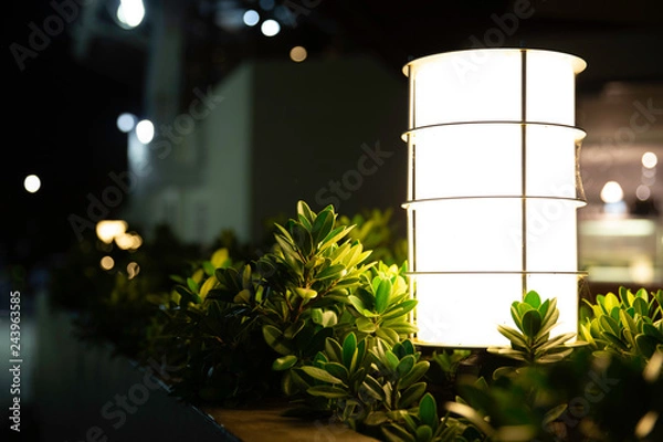 Obraz Lantern at night