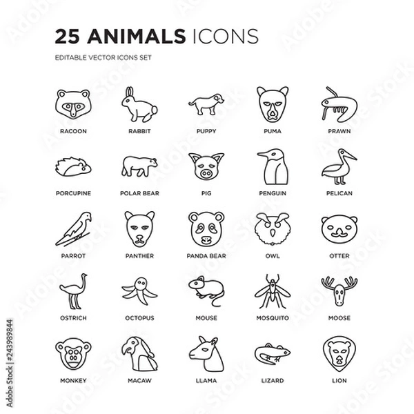 Fototapeta Set of 25 animals linear icons such as Racoon, Rabbit, puppy, puma, Prawn, Pelican, Otter, Moose, Macaw, Lion, vector illustration of trendy icon pack. Line icons with thin line stroke.