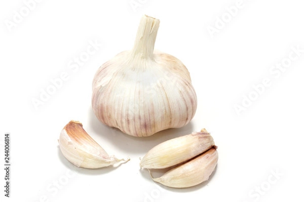 Obraz garlic isolated on a white background