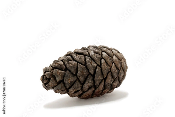 Fototapeta Pine cone on white background