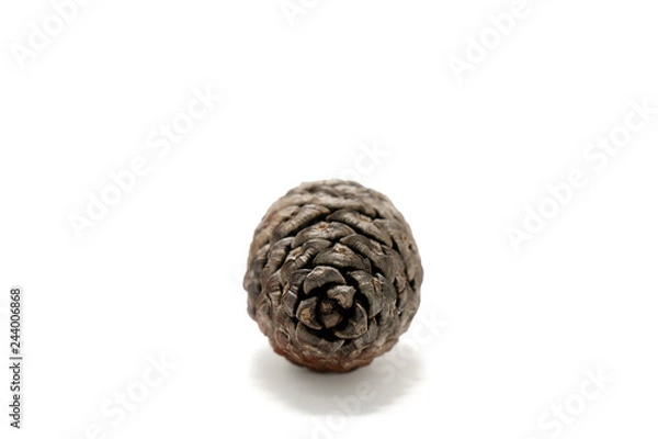 Fototapeta Pine cone on white background