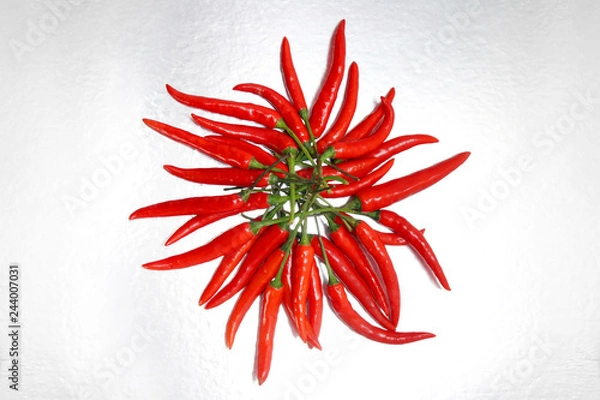 Obraz chili pepper isolated on a silver background