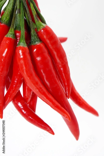 Obraz chili pepper isolated on a white background