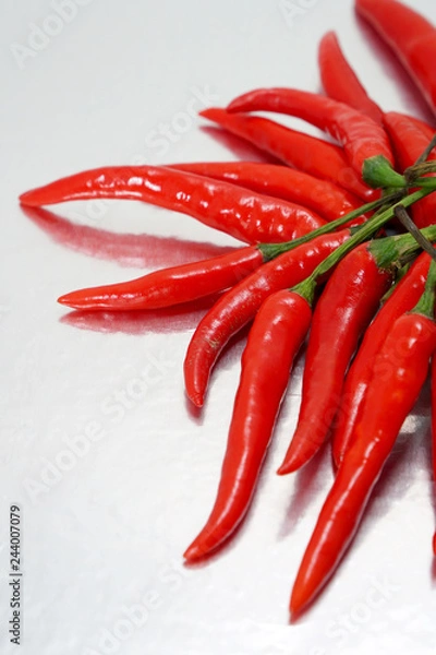 Obraz chili pepper isolated on a silver background
