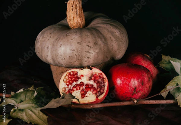 Obraz zucca melograno pittorico