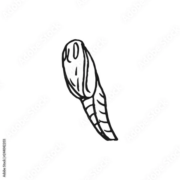 Fototapeta butterfly doll vector doodle sketch isolated on white background