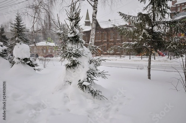 Obraz winter in tomsk