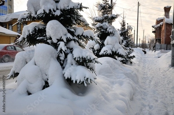 Obraz winter in tomsk