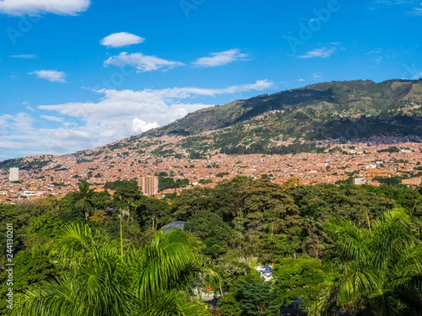 Fototapeta Impressive Skyline of Medellin viewed from Comuna 13