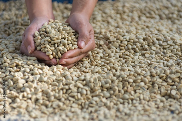 Fototapeta Coffee beans