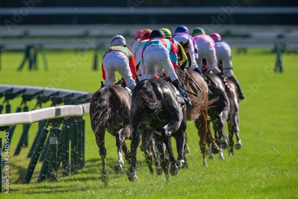 Obraz 競馬#18