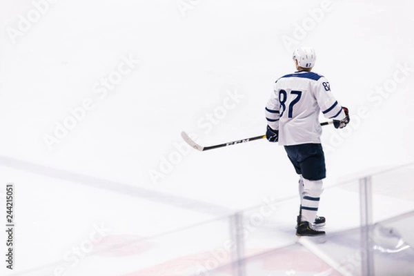 Obraz Ice hockey player