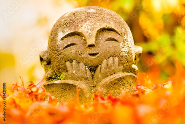 Fototapeta 京都 圓光寺 わらべ地蔵さま