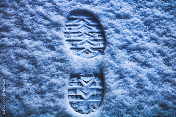 Obraz Snow Boot Print