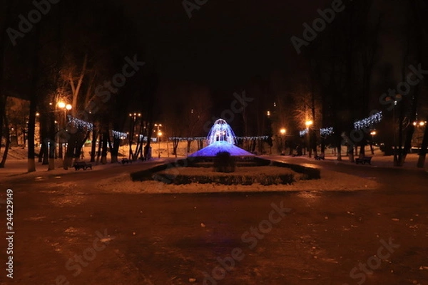 Fototapeta Ночной парк.