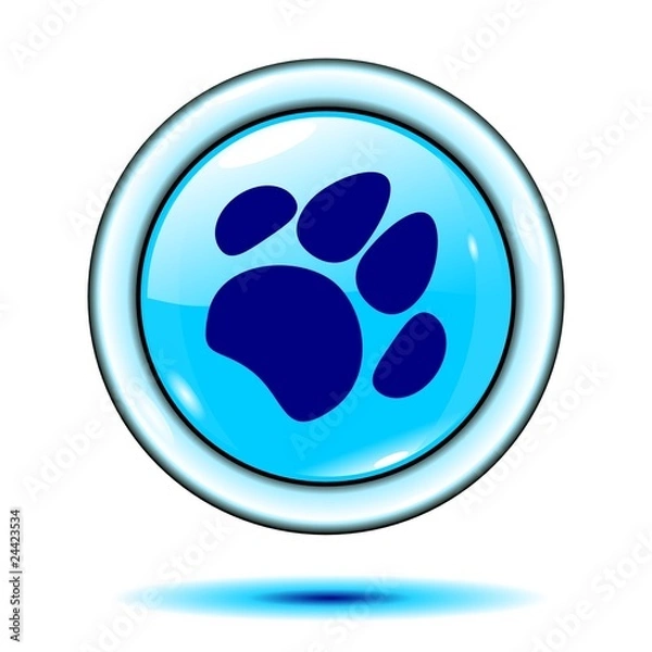 Obraz paw button light blue vector