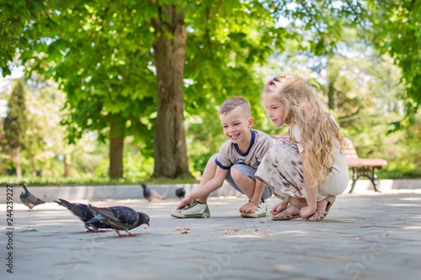 Fototapeta charming happy children feeding pigeons in the park in the summer