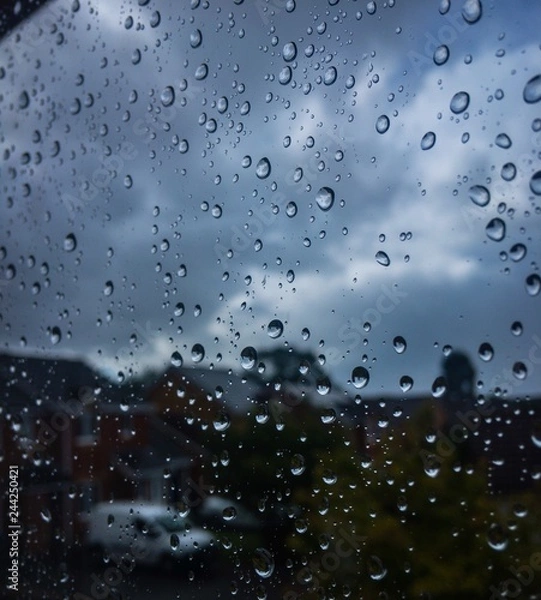 Obraz Rain Drops on Window