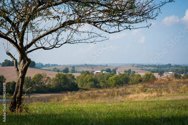 Obraz Illinois Countryside