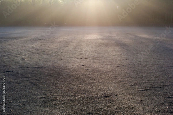 Fototapeta 朝もや