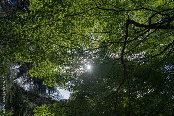 Fototapeta 明日へ
