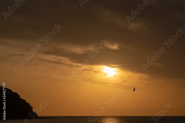 Fototapeta 湘南夕暮れ３