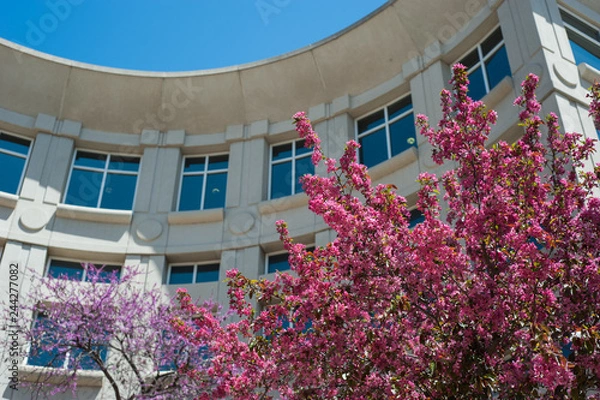 Obraz St. Charles Courthouse