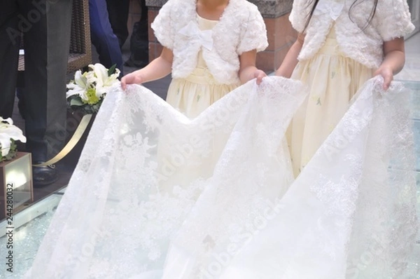 Obraz ベールガール