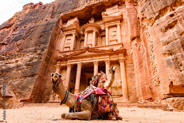 Obraz Spectacular view of two beautiful camels in front of Al Khazneh (The Treasury) at Petra. Petra is a historical and archaeological city in southern Jordan.