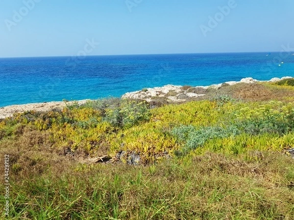 Fototapeta Landschaft - Meer