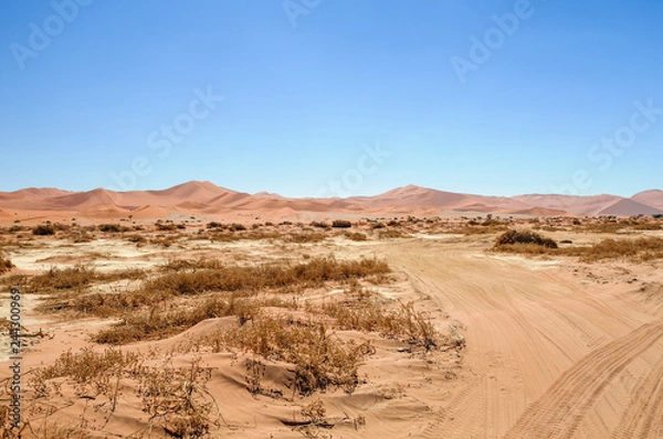 Fototapeta Road in the Namib Desert / Road in the Namib desert to the horizon, Namibia, Africa.