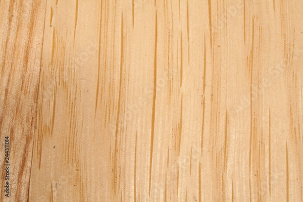 Obraz old tree as background