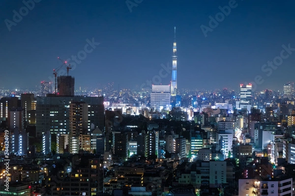 Fototapeta 東京 文京シビックセンター 展望ラウンジからの夜景（スカイツリー方面）