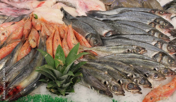 Obraz étalage de poissons