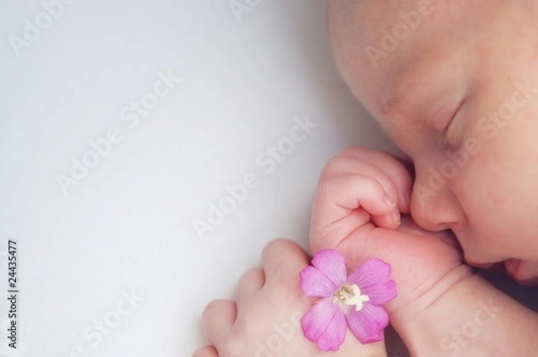 Obraz slepping baby with flower