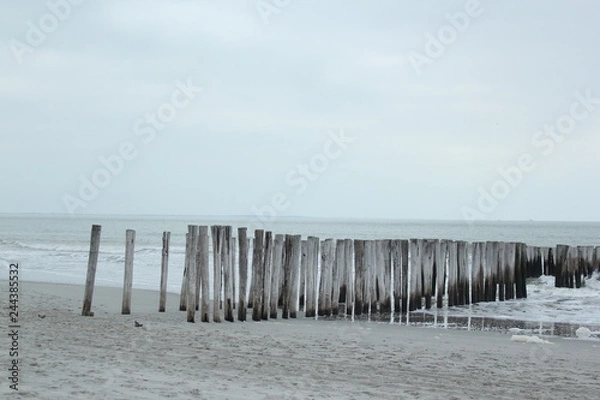 Obraz Endless path into the sea
