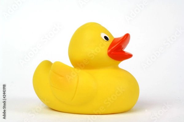 Obraz yellow plastic duck