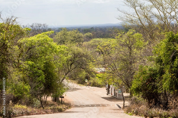 Obraz Punda Maria Rest Camp in Kruger Park
