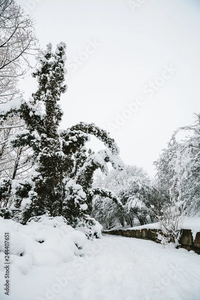 Obraz winter landscape with trees