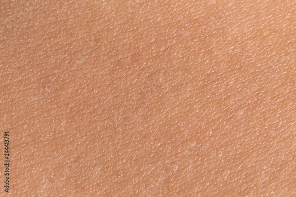 Obraz Skóra kobiety