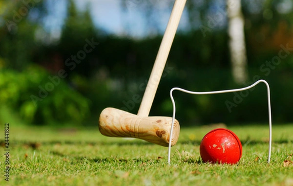 Obraz Croquet in the garden