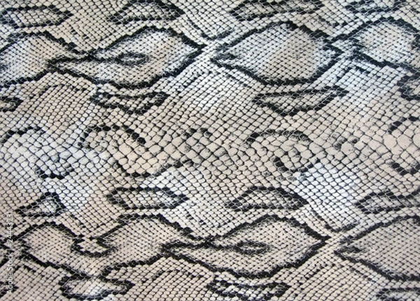 Obraz snake closeup texture, danger cobra zigzag concept, natural python leather patternt diversity