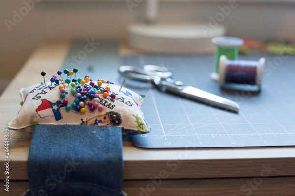 Obraz Pins & Notions Close Up