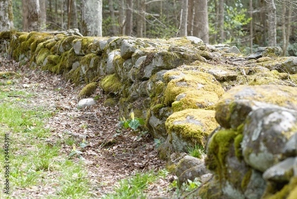 Obraz Stone Wall